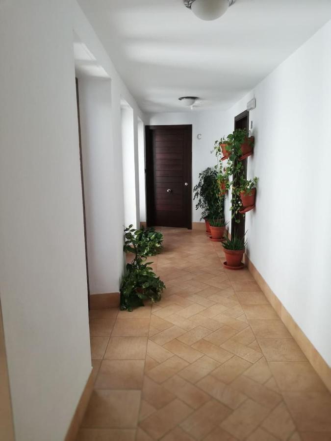 Estudio San Pedro-Corredera Кордоба Екстериор снимка